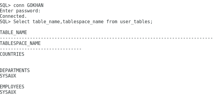 Sqlplus çıktıları