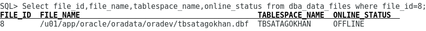 Datafile offline
